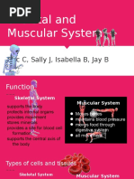 Skeletal and Muscular System