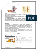 Umbrales Sensoriales