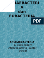 Archaebacteria Dan Eubacteria