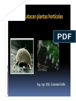 Plagas Horti III Acaros 2012