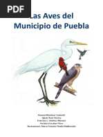 Aves Del Municipio de Puebla