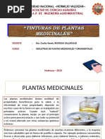 Tinturas Medicinales. Vi Clase