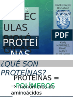 Diapositivas - Proteínas y Enzimas