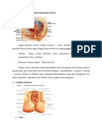 I. Anatomi Dan Fisiologi Sistem Reproduksi Wanita