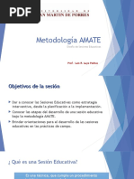 Metodologiaamate