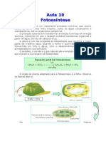 Biologia - Aula 10 - Fotossíntese