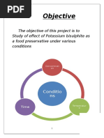 Study of Effect of Potassium Bisulphite As A Food Preservative