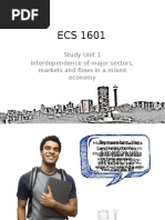 Study Unit 1 Interdependence of Major Sectors, Markets and Flows in A Mixed Economy