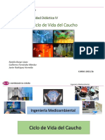 E4 - UDIV.15-16 Ciclo Caucho PDF