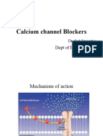 CA Channel Blockers