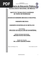 Caso Práctico - Seleccion de Un Polimero