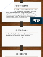 Planta Procesadora de Mates en La Provincia Pacajes