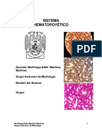 Morfología Del Sistema Hematopoyetico