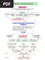 Resume Proces Penal