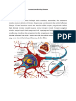 Anatomi Dan Fisiologi Neuron