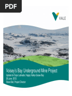 Voisey Bay C&F