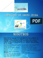 Identidad de Grupo Ceiba - pptx4