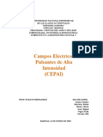 Campos Electricos Pulsantes de Alta Intensidad