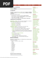 Gramáticas Ejemplos de Morfemas