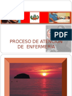 Proceso de Atencion de Enfermeria