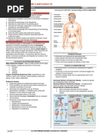 Histology Lec-11 Endocrine