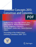 Shoulder Concepts 2013: Consensus and Concerns