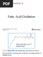 Fatty Acid Oxidation: Molecular Biochemistry II