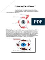 Resumen Musculos Extraoculares