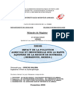 Impact de La Pollution Agricole Et Industrielle Sur La Nappe Aquifere de La Region de Boumaiza - Benazzouz, Skikda)