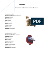 TAXONOMIA de Especies Animales y Vegetales JHORDAN