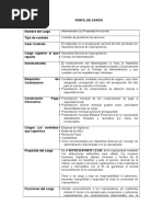 Perfil Cargo Administrador