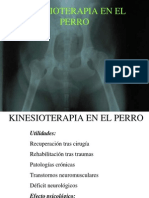 Kinesioterapia en El Perro