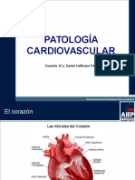 Patologia Cardiovascular