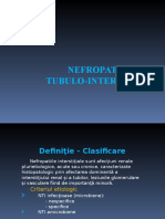 Curs 4 Nefropatiile Tubulo Interstitiale