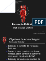 T4 Formacao Reticular