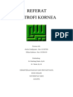 Distrofi Kornea