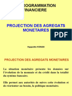 Projection Des Comptes Monetaires