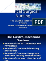 Gastrointestinal System