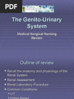 Genito Urinary System