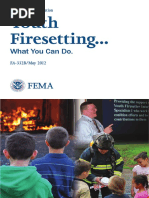 38 Youth Firesetting What You Can Do Fa 332b