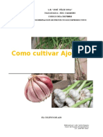 Guia Del Cultivo de Ajo