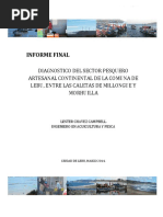 Informe Final Diagnostico Pesca Artesanal de La Comuna de Lebu