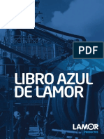 Libro Azul