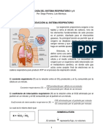 Introducción Al Sistema Respiratorio y Ventilación 