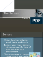 The Senses: Chapter 15 Section 3