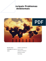 Os Principais Problemas Ambientais