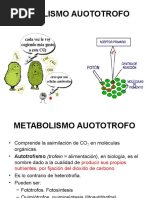 3 Autotrofos