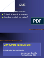 Skema Siklus Sel Mitosis-Meiosis