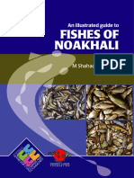 Fishes of Noakhali