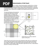 Cell Count